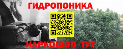 прущие крисы Изобильный