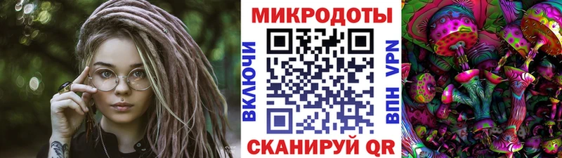 omg зеркало  где можно купить   Луга  Псилоцибиновые грибы ЛСД 