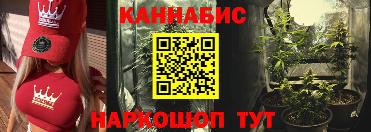 Шишки марихуана конопля Луга